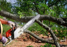 Reliable Centerfield, UT Tree Removal and Landscaping Services Solutions